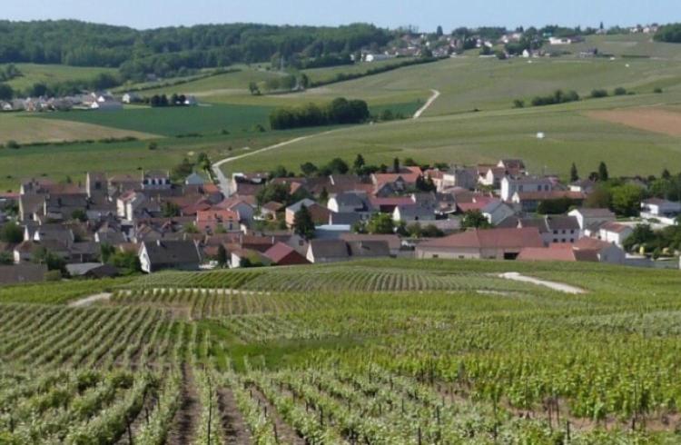 Апартаменты La Longere De Vin'Ay Вине Экстерьер фото