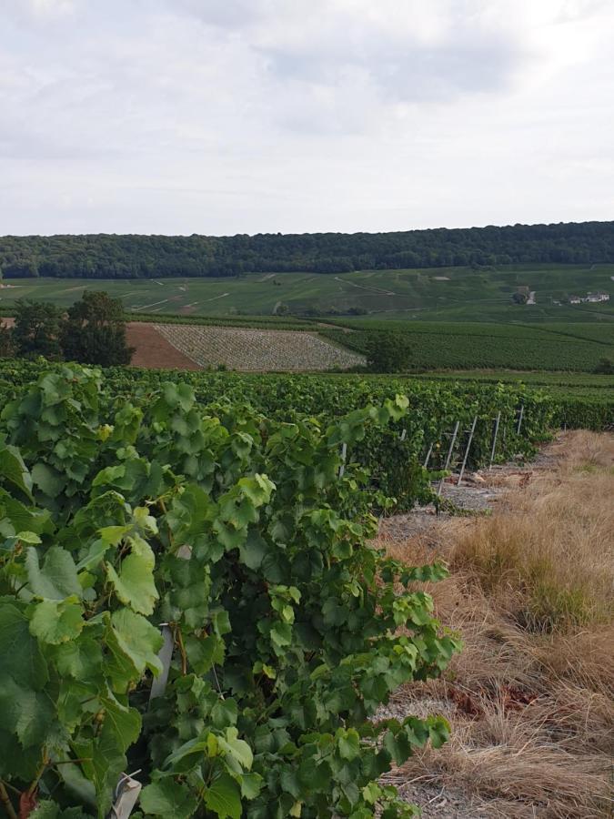 Апартаменты La Longere De Vin'Ay Вине Экстерьер фото
